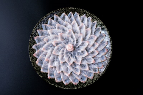 幻の高級魚 クエ刺身 (薄造り) 4～5人前 240ｇ 冷凍 山口県 長門市 仙崎港水揚げ 冷凍 年内配送 (1355)