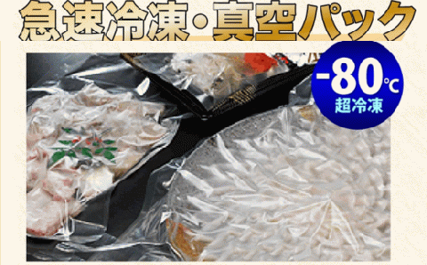 とらふぐ 刺身 4人前 (冷凍)【フグ ふぐ 河豚 海鮮 刺身 ふぐ皮湯引 ポン酢 薬味 人気 板前 配送日指定可能 日時指定可能 山口県 長門市】(10102)