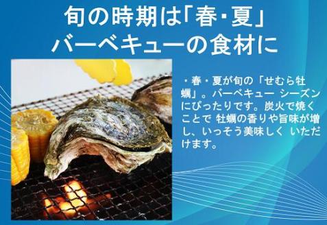 牡蠣 カキ 岩ガキ 岩がき 岩牡蠣 岩カキ 大容量 海のミルク 濃厚 クリーミー 夏バテ防止 10kg  焼き 蒸し 加熱 (1405)