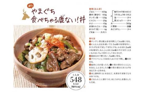 ジビエ ヘルシー 合計1.1kg 鹿肉ミンチ 300g×2パック 鹿モモ肉500g セット【肉 鹿肉 ブロック もも肉 ミンチ しかにく ジビエ 精肉 ヘルシー 生肉 赤身 冷凍 鹿 しか シカ 山口県 長門市】(1183)