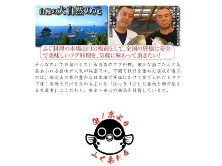 ふぐ 刺身 てっさ ふぐ刺し とらふぐ 刺身 2人前（とらふぐ刺身60g ふぐ皮湯引き40g ポン酢・薬味付き）冷凍 きらく 長門市 配送日指定可能 日時指定可能  (10031)