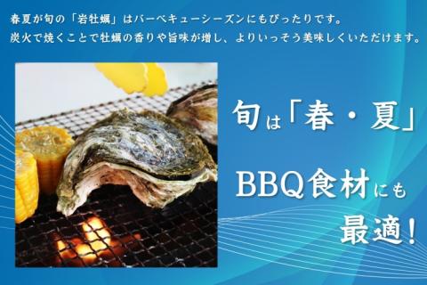 【定期便】岩カキ  1kg×3回 牡蠣 岩牡蠣 海のミルク 濃厚 クリーミー 夏バテ防止 冷蔵 冷凍 焼き 蒸し 加熱 定期便  毎月3ヶ月 (12018)