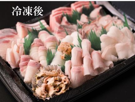 旬のお刺身盛合せ」2-3人前(冷凍) 【新鮮 刺身 盛り合わせ 刺盛 さしみ サシミ 地魚 急速冷凍 仙崎 長門市 山口県】(10045)