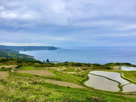 (1028)お米 精米 白米 棚田米 米「きぬむすめ」10kg 令和6年度産