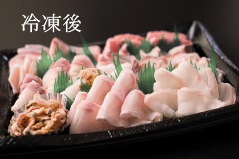 【定期便】 刺身 新鮮 盛り合わせ 仙崎発旬のお刺身盛合せ2-3人前 3D冷凍 長門市 毎月発送 全3回 (1409)