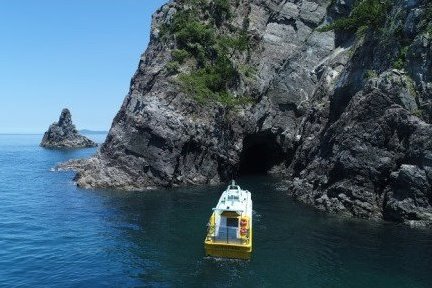 (1328)青海島観光汽船乗船券2名様分と山口県産とらふぐ刺身（冷凍）
