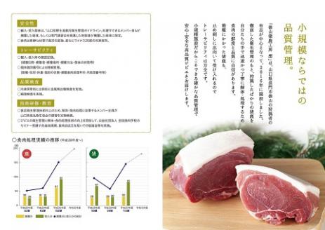 鹿肉 もも ブロック 1.2kg【肉 鹿肉 ブロック もも肉 しかにく ジビエ 精肉 ヘルシー 生肉 赤身 冷凍 鹿 しか シカ 長門市 山口県】(1166)
