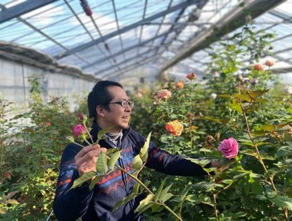 バラのお届け便 (アレンジメント)【バラ園 フラワー 花 母の日 ギフト 山口県 長門市】(1257)