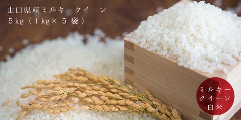 (1033)お米 白米 萩原さん家のミルキークイーン1kg×5袋 山口県 長門市 精米 小分け 合計5kg　令和6年度産