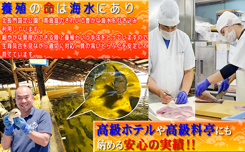 (1057)山口県産 ふぐ 白子 200g 