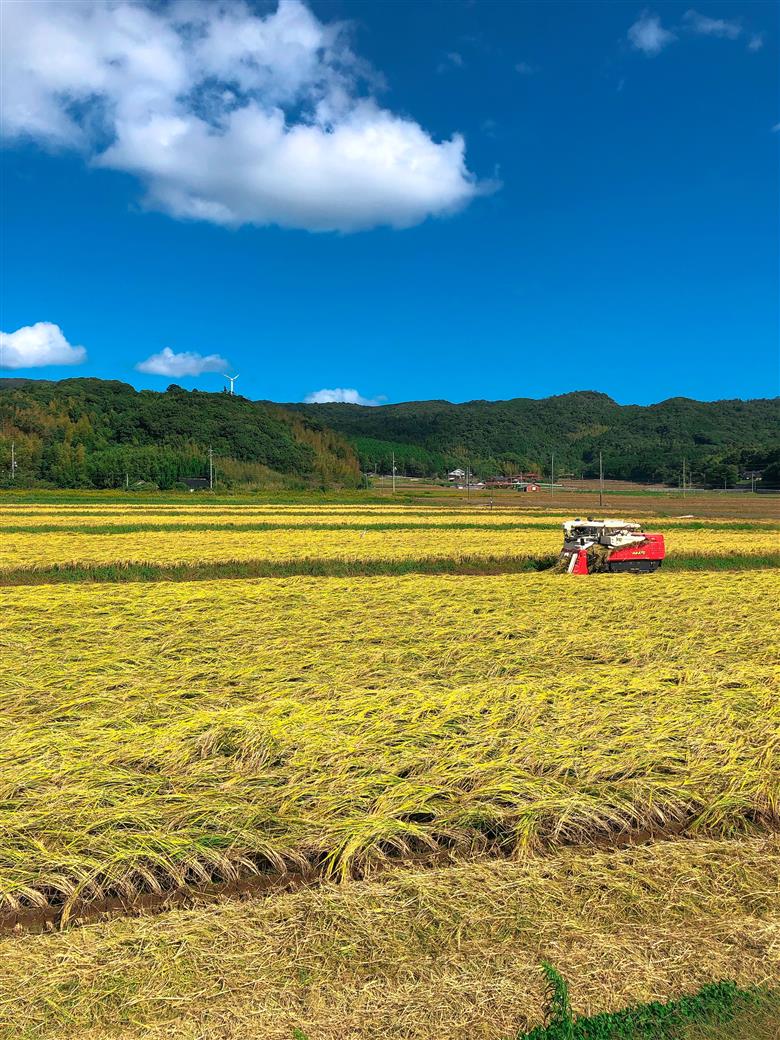 【令和7年度産】 お米 3kg 山口県産 長門市 日置ノ庄米 白米 ご飯 精米 ブレンド米 こしひかり ひとめぼれ きぬむすめ にじのきらめき 国産 (10164）