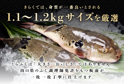とらふぐ　刺身　定期便　 コース　小分け　1人前【隔月10皿（10人前）×6ヶ月】(250001)