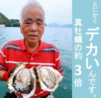 岩牡蠣  3kg 【牡蠣 カキ 岩ガキ 岩がき 岩カキ 海のミルク 濃厚 クリーミー 夏バテ防止 焼き 蒸し 加熱用 期間限定 山口県 長門市】(1007)