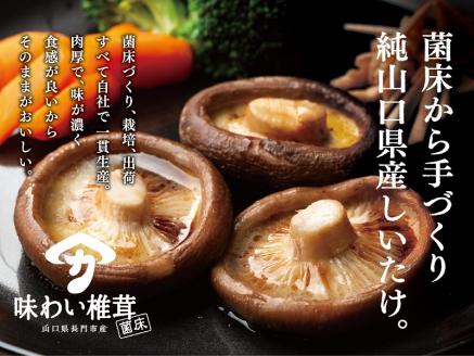 椎茸 シイタケ 菌床しいたけ  ヤマカ精工 大容量 12袋 1.8㎏ 野菜 長門市(10019)