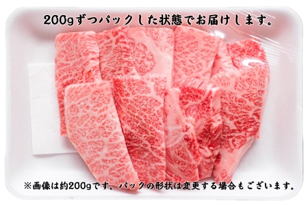 長州ながと和牛「三角バラ焼き肉用・ロース焼肉用」600g(200g×3パック)＋400g(200g×2パック) 合計1ｋｇ【牛肉 肉 お肉 焼き肉 焼肉 焼肉用 小分け 希少 ギフト 贈り物 和牛 牛 ながと和牛 長門市】(1406)