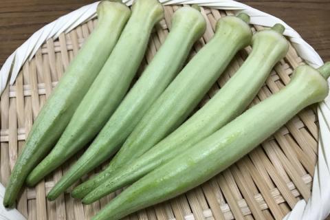 カレー 白オクラカレー 長州どり トロトロカレー ご当地カレー 5箱セット 5食 190g 希少野菜 長門市 オリジナルカレー(10030)