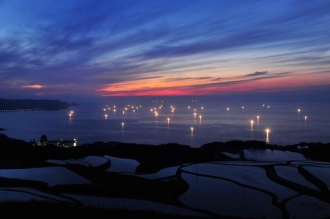 (1365)ながとのこめ こしひかり 白米  5kg×3袋 合計15kg コシヒカリ精米 長門市