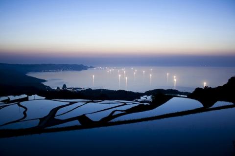 (1028)お米 精米 白米 棚田米 米「きぬむすめ」10kg 令和6年度産