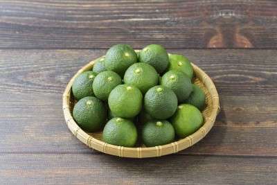 長州黒かしわもも・むねのセット(家政婦タサン志麻さんのレシピ集付き)【鶏肉 地鶏 冷凍 伝説の家政婦志麻さん タサン志麻 家政婦 伝説の家政婦 セット レシピ集付き レシピ 長門市 食材 もも肉 モモ肉 むね肉 胸肉 鶏モモ 鶏もも 鶏むね 鶏ムネ 肉 お肉 ゆずきち 塩 海の塩】(1092)