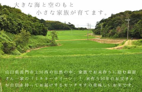 (1033)お米 白米 萩原さん家のミルキークイーン1kg×5袋 山口県 長門市 精米 小分け 合計5kg　令和6年度産