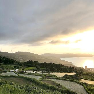 (1199)棚田米BISCOTTI