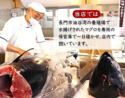 (1356)マグロ 本マグロ まぐろ 鮪 山口県 長門市 油谷産 希少 養殖 赤身 赤身柵 1ｋg 脂乗り抜群 とろける 冷凍 柵 ギフト 贈答 お正月