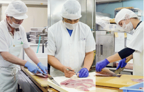 キジハタ きじはた アコウ ハタ アカミズ 造り 刺身 薄造り 4人前 刺身 お刺身 冷凍 幻の魚 山口県 長門市 長門 仙崎 仙崎港 仙崎産 豪華 ギフト 贈り物 急速冷凍 ポン酢付 (12008)