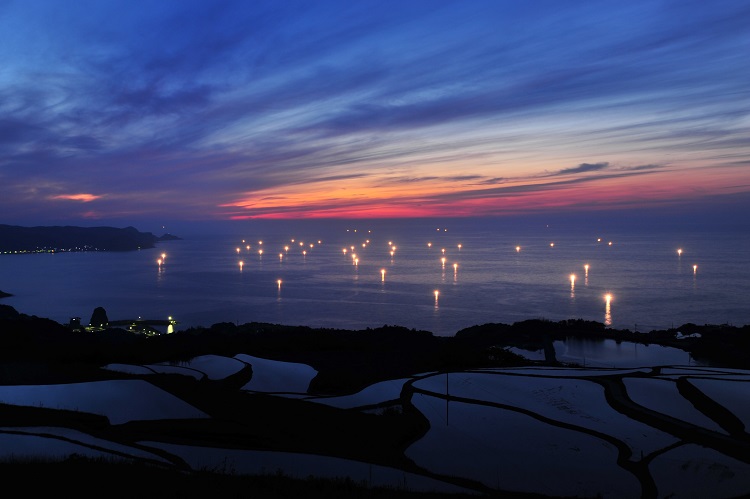 ながとのこめ こしひかり 白米 5ｋｇ×1袋 合計5kg 精米 コシヒカリ長門市(10055)