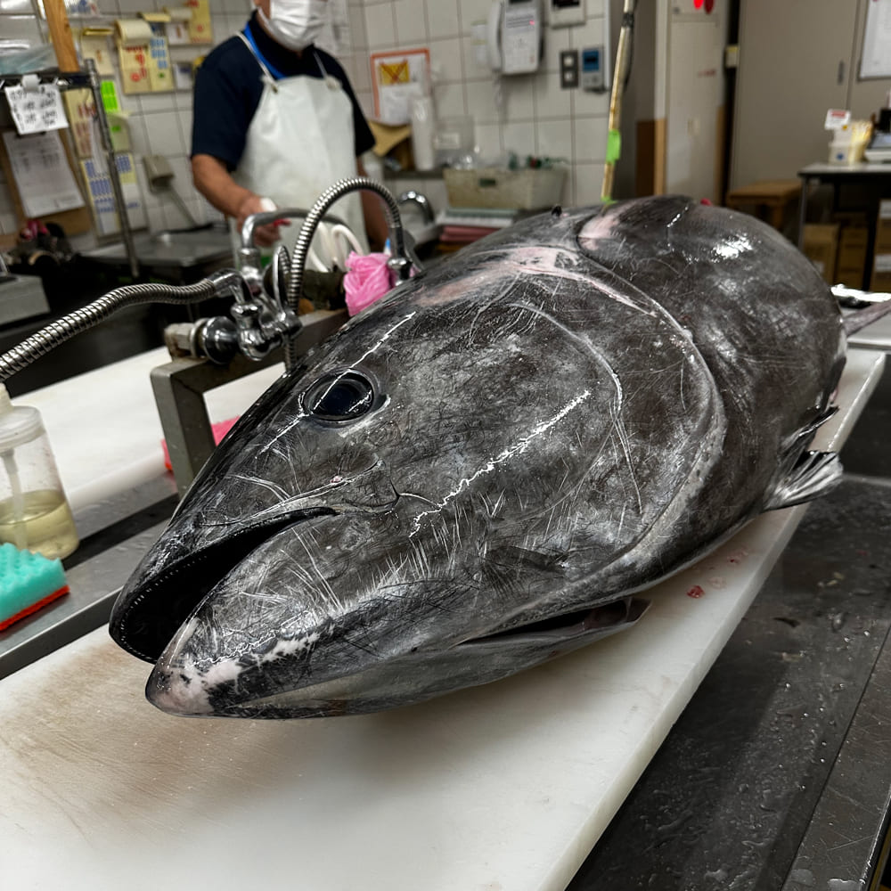 (1275)油谷産養殖本マグロ 大トロ 中トロ 柵セット