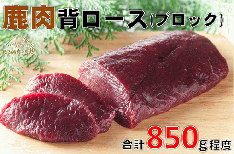 鹿肉 背ロース ブロック 850g【肉 ジビエ 鹿肉 ブロック ロース 赤身 ヘルシー 生肉 冷凍 鹿 しか シカ しかにく 山口県 長門市】(1046)