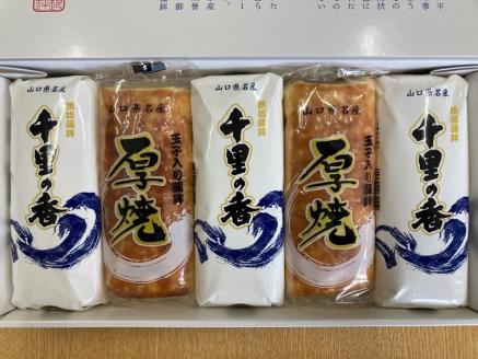 蒲鉾 かまぼこ 仙崎蒲鉾 蒲鉾セット 5本セット ギフト プレゼント 長門市 (10013)