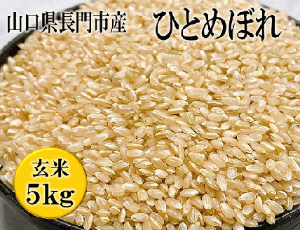 お米 米 こめ 玄米 日置ノ庄 ひとめぼれ 5ｋｇ おにぎり 長門市(10015)