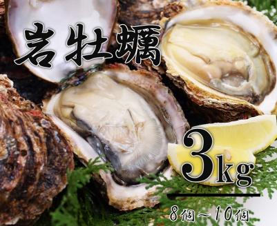 岩牡蠣  3kg 【牡蠣 カキ 岩ガキ 岩がき 岩カキ 海のミルク 濃厚 クリーミー 夏バテ防止 焼き 蒸し 加熱用 期間限定 山口県 長門市】(1007)