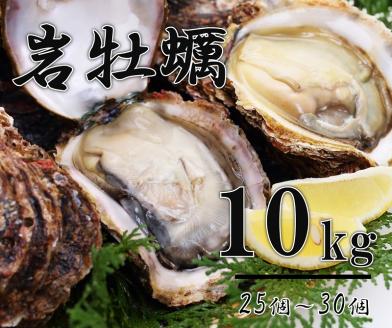 牡蠣 カキ 岩ガキ 岩がき 岩牡蠣 岩カキ 大容量 海のミルク 濃厚 クリーミー 夏バテ防止 10kg  焼き 蒸し 加熱 (1405)