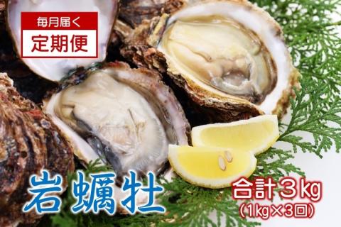 【定期便】岩カキ  1kg×3回 牡蠣 岩牡蠣 海のミルク 濃厚 クリーミー 夏バテ防止 冷蔵 冷凍 焼き 蒸し 加熱 定期便  毎月3ヶ月 (12018)