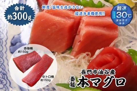 (1037)油谷産養殖本マグロ 赤身 中トロ 柵セット