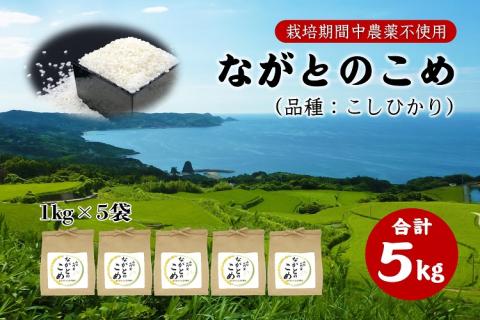 ながとのこめ こしひかり 白米 1kg×5袋 合計5kg　コシヒカリ 小分け 精米 長門市(10053)
