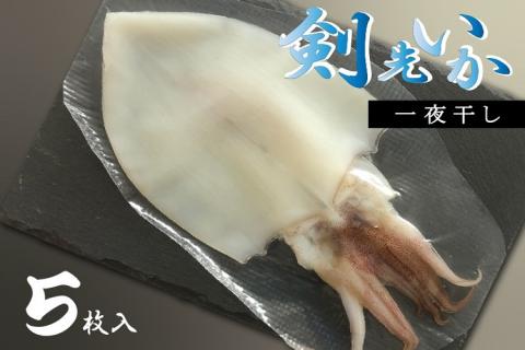剣先イカ 一夜干し 山口県産 いか  イカ 烏賊 5枚セット 真空パック 長門市(10057)