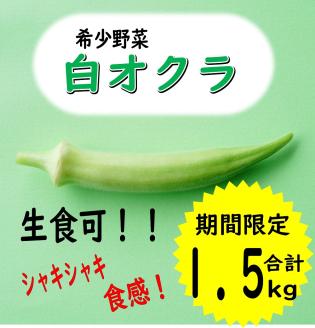 (1068)季節限定 希少野菜 白オクラ 1.5㎏ 訳アリ 訳あり 緊急支援品