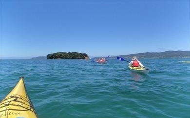 (1505)シーカヤック半日体験とジビエカレーのセット（ペア）