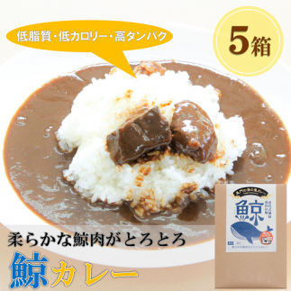 (1161)ご当地カレー　レトルト　鯨肉　とろとろ「鯨カレー」　5箱