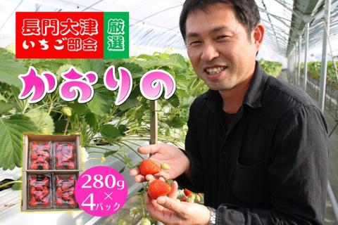 いちご 苺 かおりの 280g×4パック 合計1.1kg 長門市(10085)