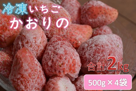 【訳あり】いちご 冷凍 かおりの 長門産かおりの 苺 イチゴ 500g×4 合計2kg ジャム スムージー(10140)