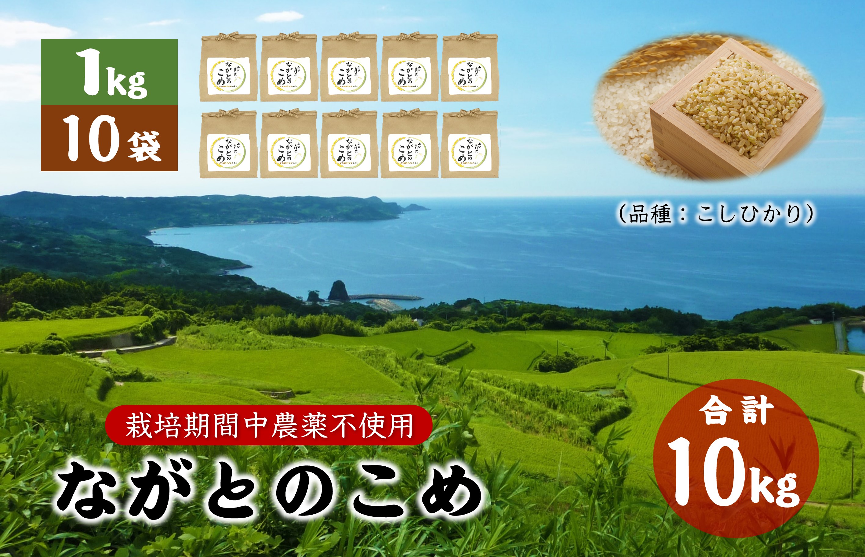 (12021)ながとのこめ こしひかり 玄米 1kg×10袋 合計10kg コシヒカリ 小分け 長門市