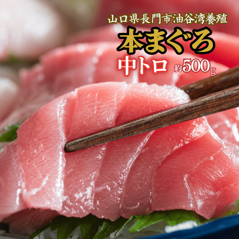(1274)油谷産養殖本マグロ 中トロ柵 500g