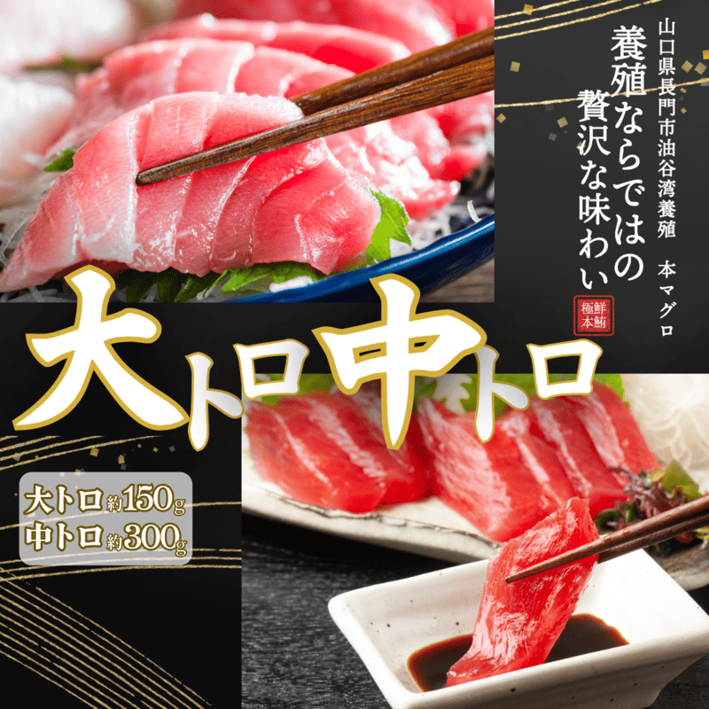 (1275)油谷産養殖本マグロ 大トロ 中トロ 柵セット