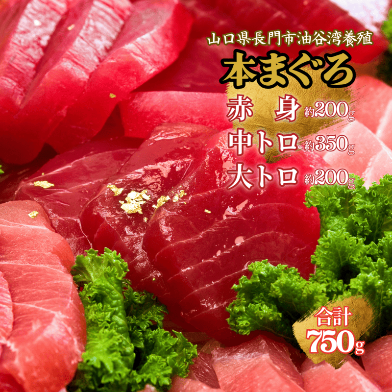 (1346)油谷産養殖本マグロ 満喫セット