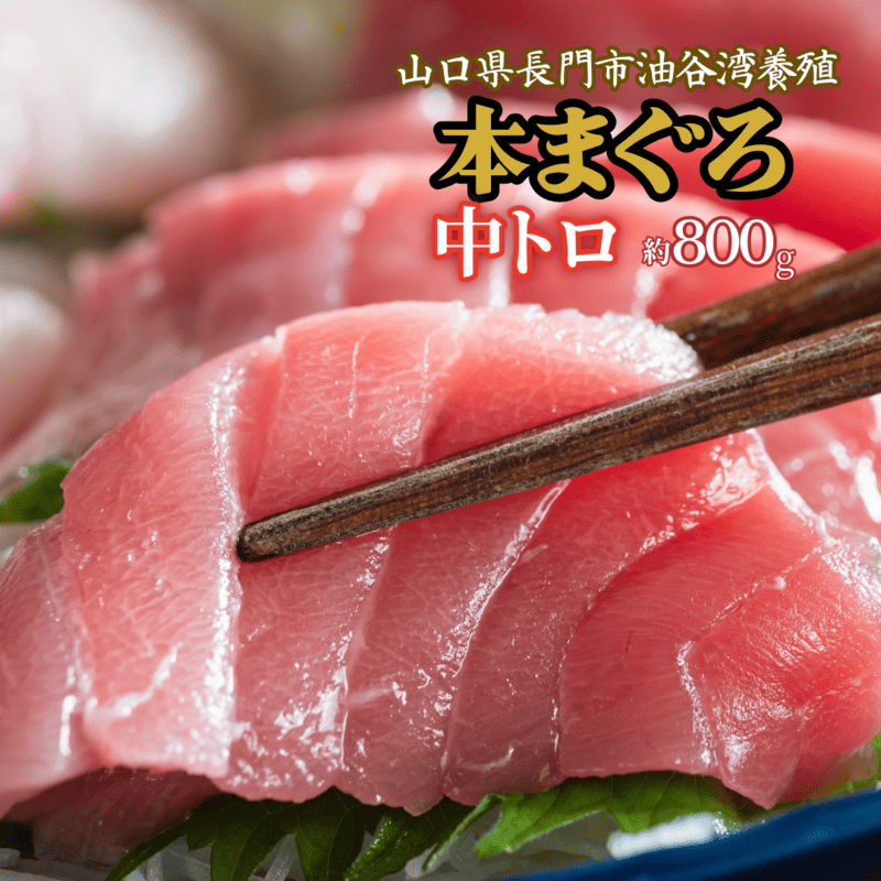 (1347)油谷産養殖本マグロ 中トロ柵 800g