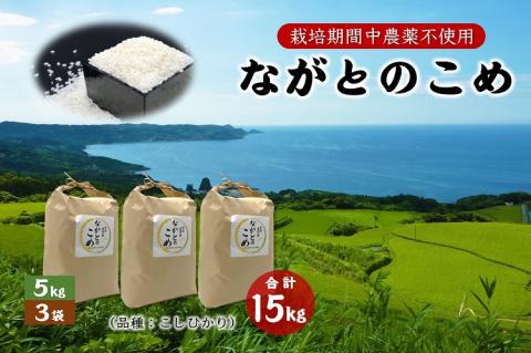 (1365)ながとのこめ こしひかり 白米 5kg×3袋 合計15kg コシヒカリ精米 長門市