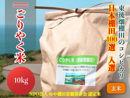 (1233)[令和6年度産先行予約]お米 玄米 こしひかり 10kg「ごりやく米」棚田米 東後畑 玄米